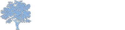 Blue Olive Properties logo